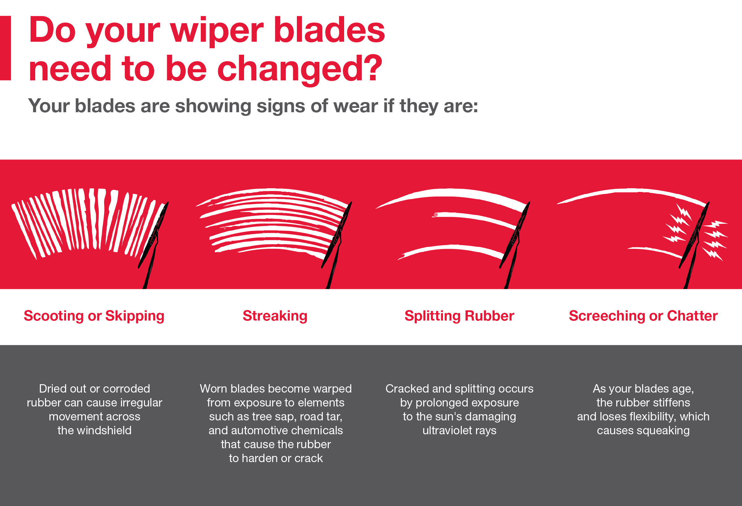 Do your wiper blades need to be changed | Swickard Toyota in Edmonds WA